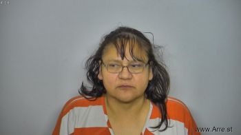 Lisa Ann Nickelson Mugshot