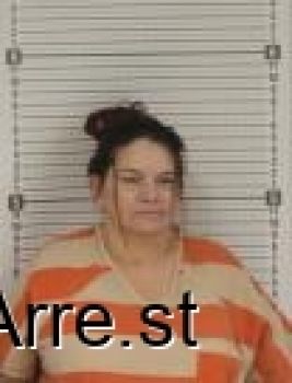 Lisa Lorraine Robins Mugshot