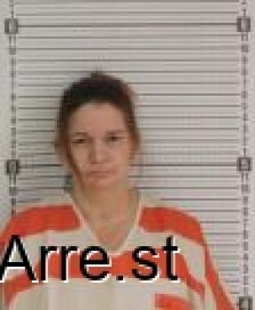 Lisa Lorraine Robins Mugshot