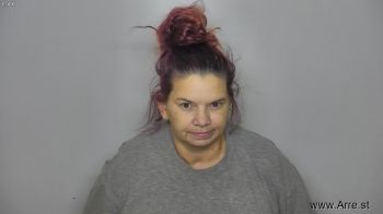 Lisa Lorraine Robins Mugshot