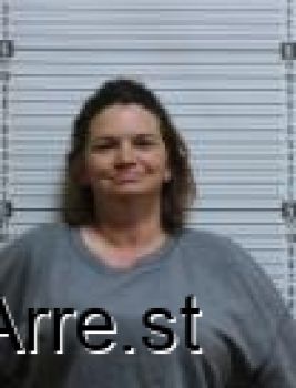 Lisa Lorraine Robins Mugshot