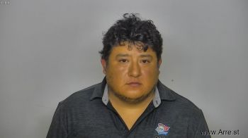 Luis Fernando Villegaschino Mugshot