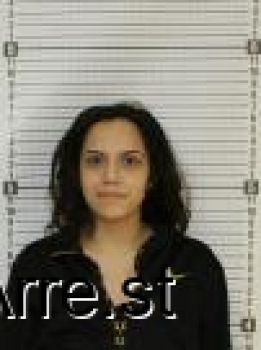 Megan Sierra Nicole Johnson Mugshot