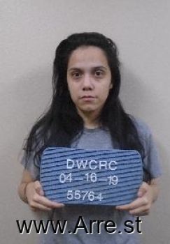 Megan Sierra Nicole Johnson Mugshot