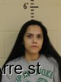 Megan Sierra Nicole Johnson Mugshot