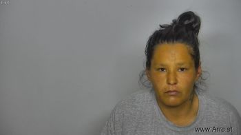 Nicole Lynette Standingcrow Mugshot