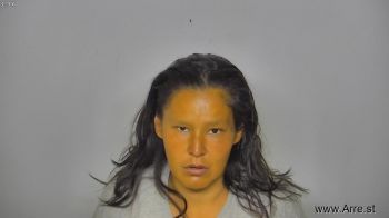 Nicole Lynette Standingcrow Mugshot