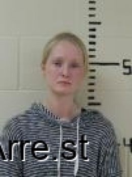 Paige Elizabeth Davis Mugshot