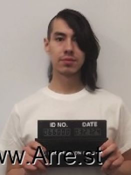 Patrick Joseph Vivier Mugshot