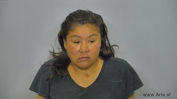 Priscilla Lynn Bullbear Mugshot