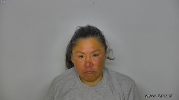 Priscilla Lynn Bullbear Mugshot