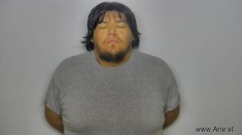 Ronald Bennet Lonebear Mugshot