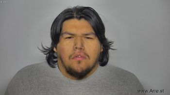 Ronald Bennet Lonebear Mugshot