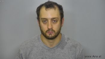 Ryan Lee Greenizer Mugshot