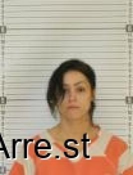 Sara Ann Jenkins Mugshot