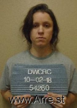 Sara Ann Jenkins Mugshot