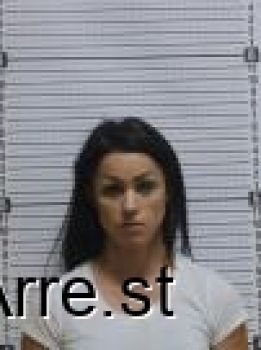 Sara Ann Jenkins Mugshot