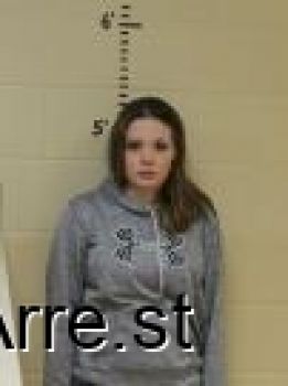 Sarah Ann Michelle Anderson Mugshot