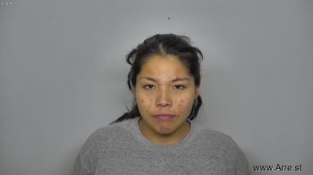 Sylvia Regina Strangerhorse Mugshot