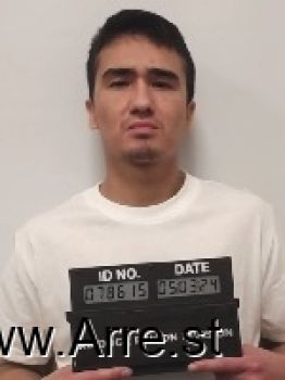 Terry  Davis Mugshot