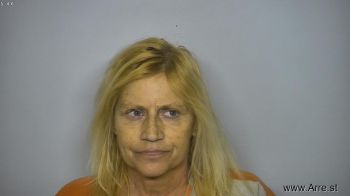 Theresa Lee Tkach Mugshot