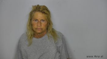 Theresa Lee Tkach Mugshot