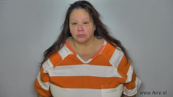 Tracy Elizabeth Lavallie Mugshot