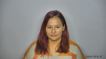 Tyann Raye Bravebull Mugshot