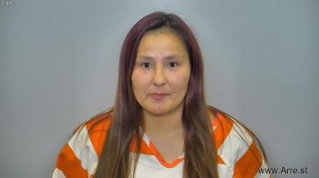 Tyann Raye Bravebull Mugshot