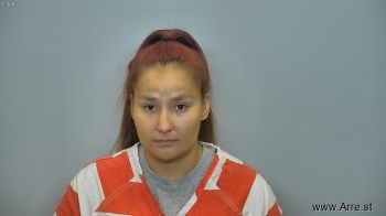 Tyann Raye Bravebull Mugshot