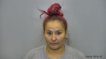 Tyann Raye Bravebull Mugshot