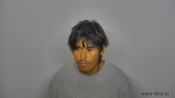 Wyatt Alexander Falcon Mugshot