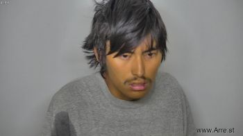 Wyatt Alexander Falcon Mugshot