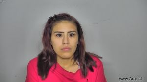 Angelica Wolf Arrest Mugshot