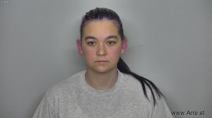 Ashley Landsiedel Arrest Mugshot