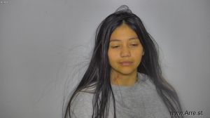 Elena Johnston Arrest Mugshot