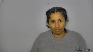 Elizabeth Ayalaaguilar Arrest Mugshot