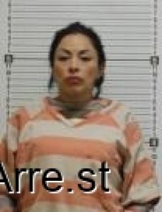 Guadalupe Labastida Villasenor Arrest Mugshot