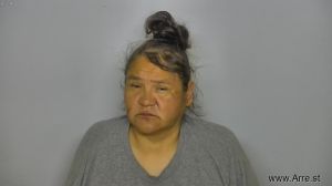 Lisa Nickelson Arrest Mugshot