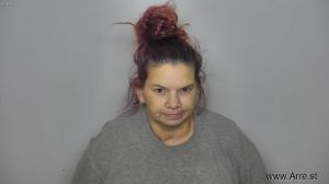 Lisa Robins Arrest