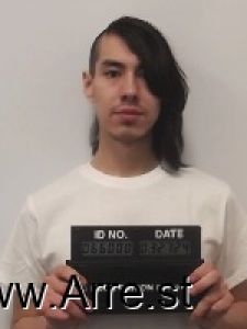 Patrick Vivier Arrest Mugshot