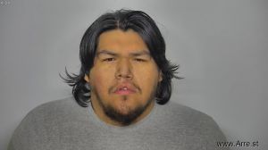 Ronald Lonebear Arrest