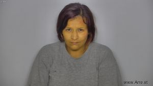 Tawna Ironshield Arrest Mugshot