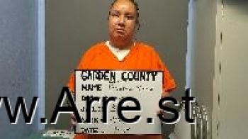 Andrea Lorraine Janis Mugshot