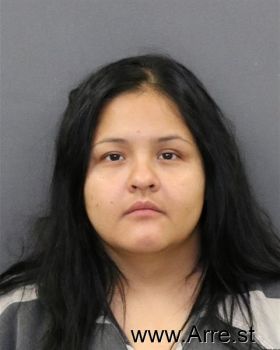 Araceli  Alvarez-campos Mugshot