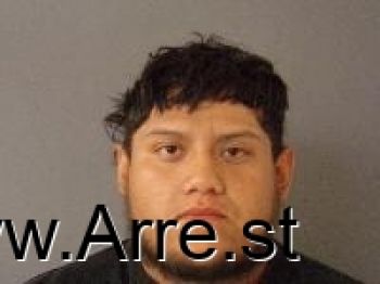 Brayen Alexis Herrera De Luna Mugshot