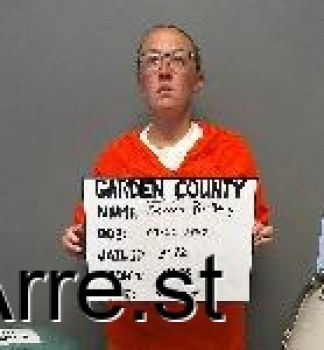 Brittany N Serres Mugshot