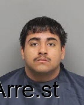 Bryan  Castillo Mugshot