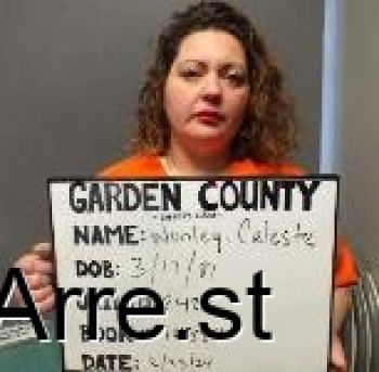Celeste Patricia Wooley Mugshot