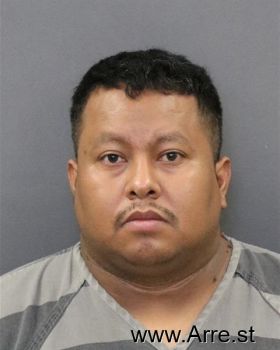 Efrain  Gallardo-gallardo Mugshot